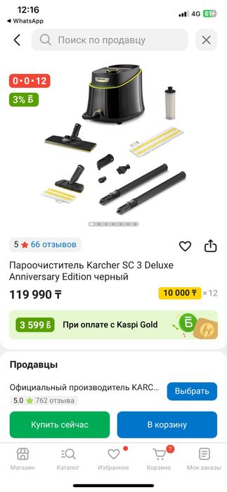 Пароочеститель Karcher