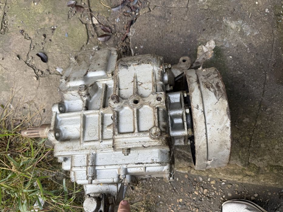 Cutie viteza SR BUCEGI STEAGUL rosu