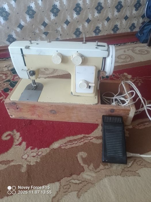 Chayka matorli tokli