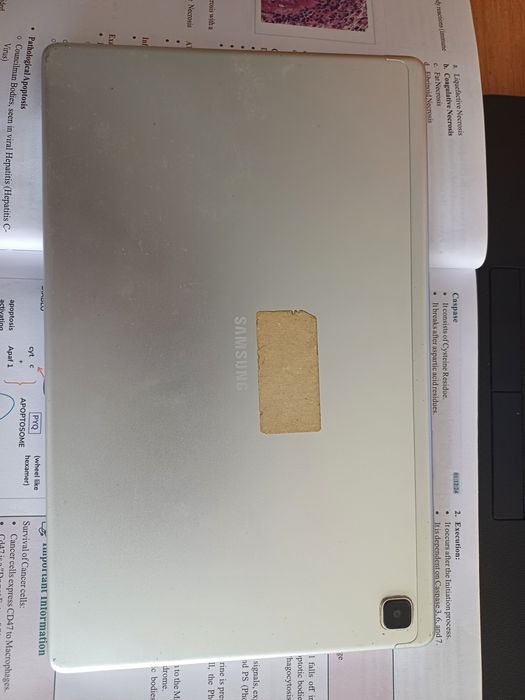 Samsung Tab A7 with original Box and Adaptater