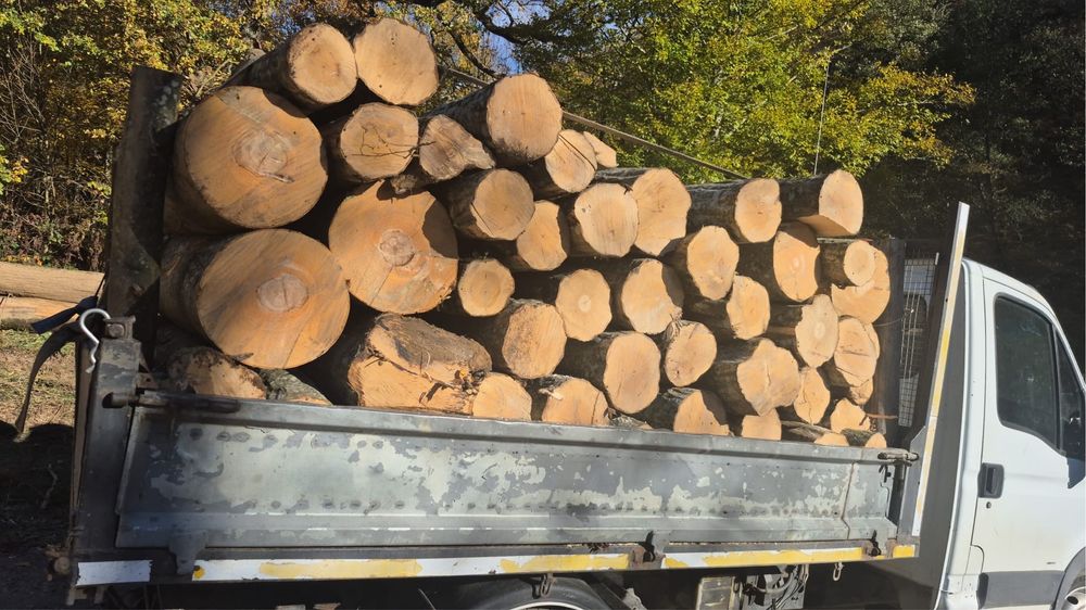 Lemne de foc disponibile