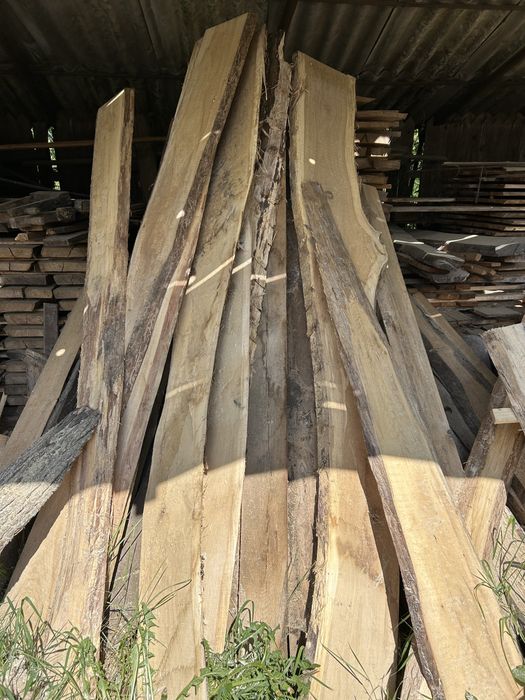 Vânc cherestea uscată natural