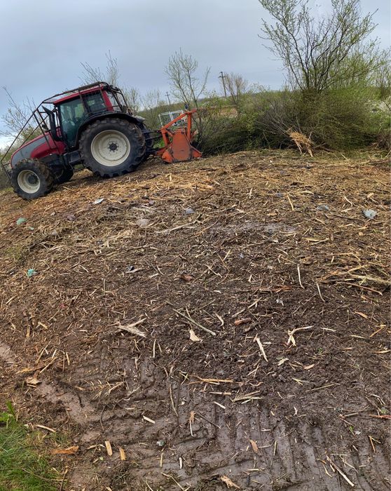 Curatare teren, defrisare teren, defrisari, curatat teren, igienizare