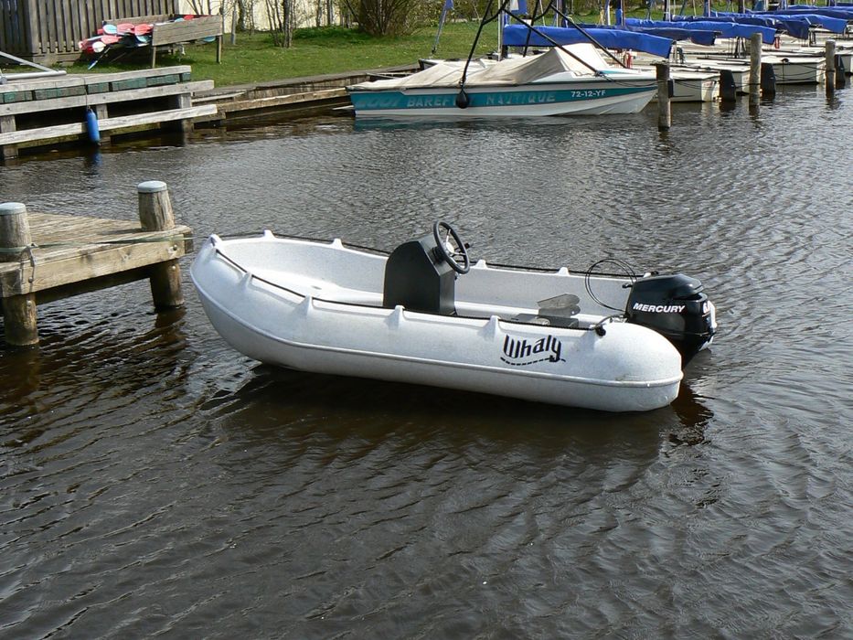 Barci Whaly in Romania