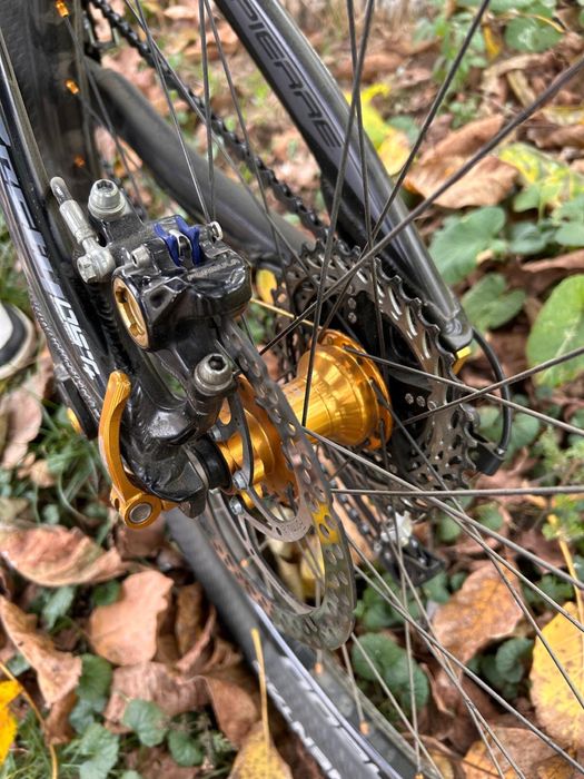 Vand bicicleta Lapiere zesty 314