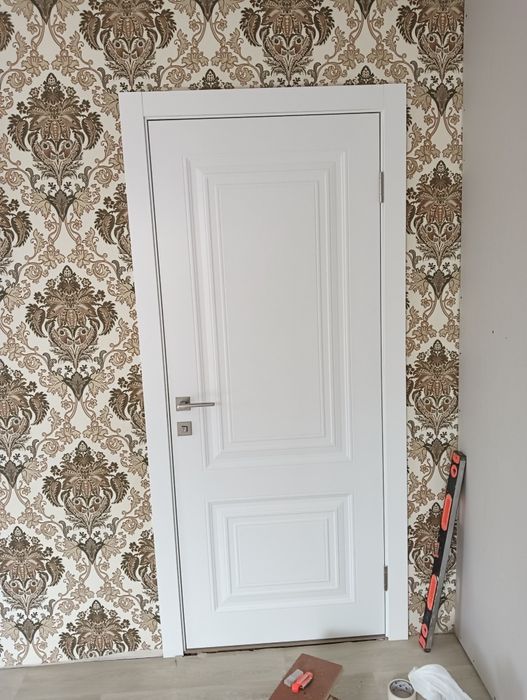 Установка межкомнатных дверей