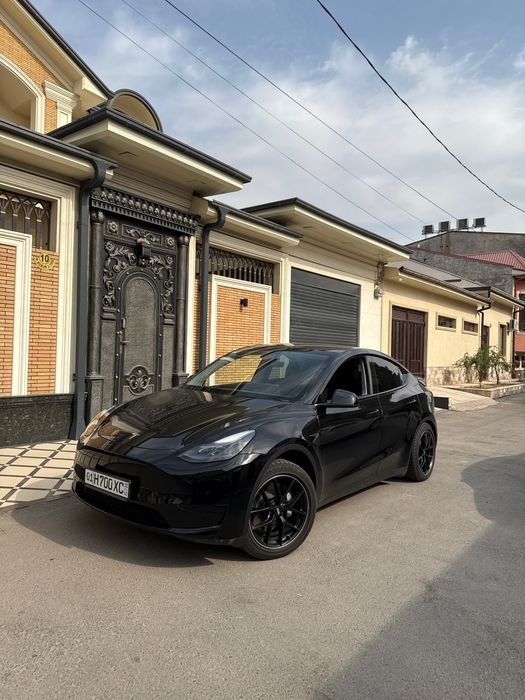 Tesla model Y standart