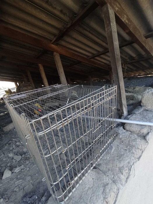 Продам или поменяю клетку