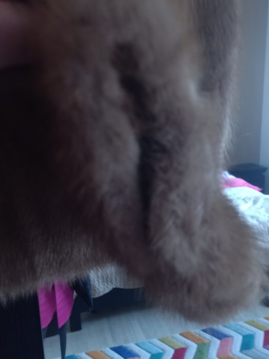 Haina blana de nurca