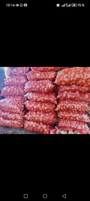 Картофель сетках,,