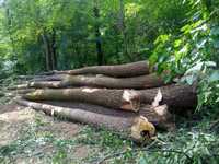 Vindem lemne de foc stejar salcam la palet si la tona