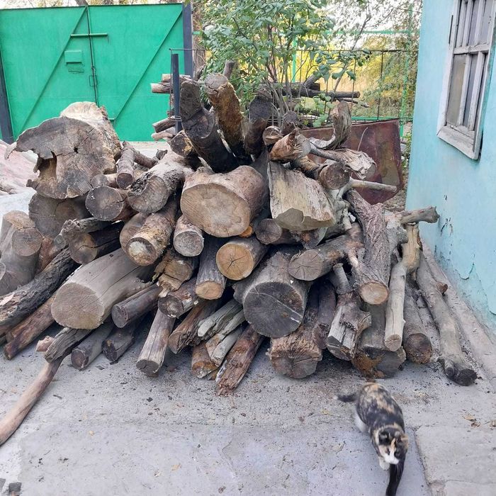 Продам сухие дрова.