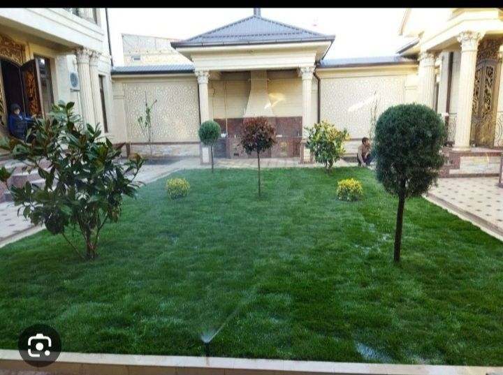 Landshaft,gazon qirqish, archa va daraxtlarni butalash  va dorilash