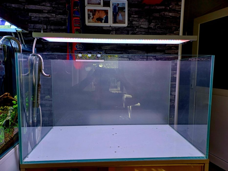 Vând ansamblu acvariu