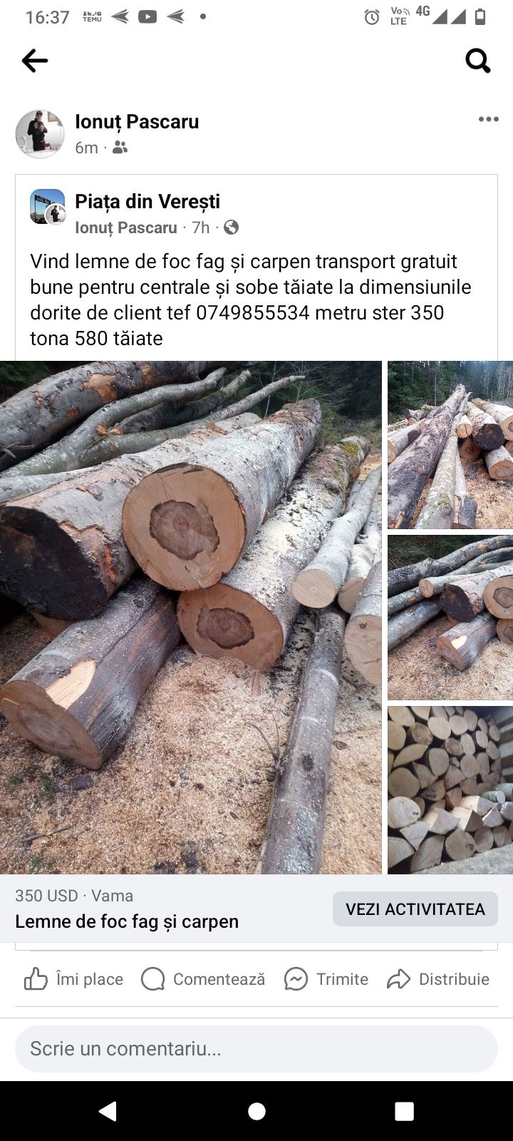 Vindem lemn de foc fag și carpen