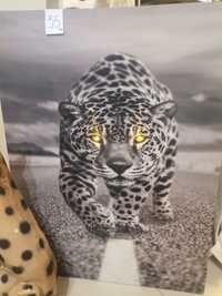 Голяма картина с гепард, светещи очи