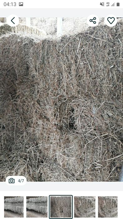 Baloți lucernă cal.1 preț.30 lei greutate 30-35 kg.caoasa a 3-4.