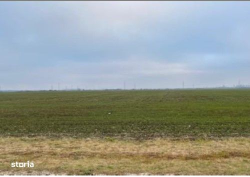 Teren Extravilan Cerna, cota parte 1/5 ID: R2581973