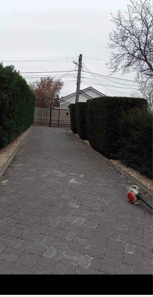 Scarificare Gazon/Tuns Iarbă/Gard viu/Tuia/Ierbicidare.