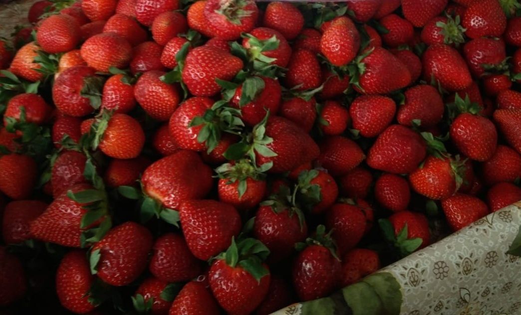 Dulceata de căpșuni.  Livrare in Bucuresti