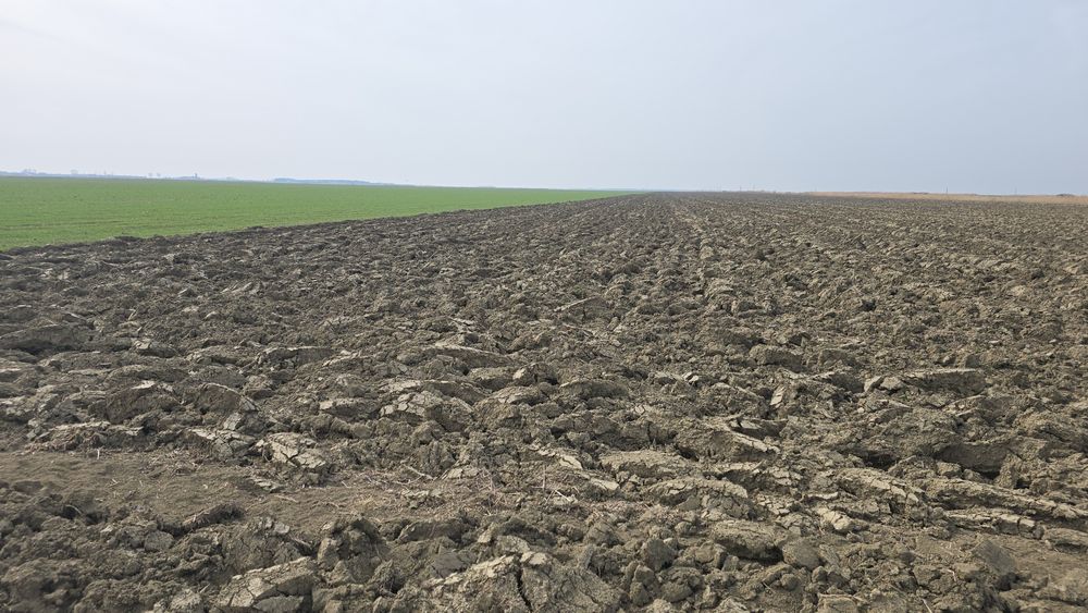 Vănd teren arabil Silistea 40 hc