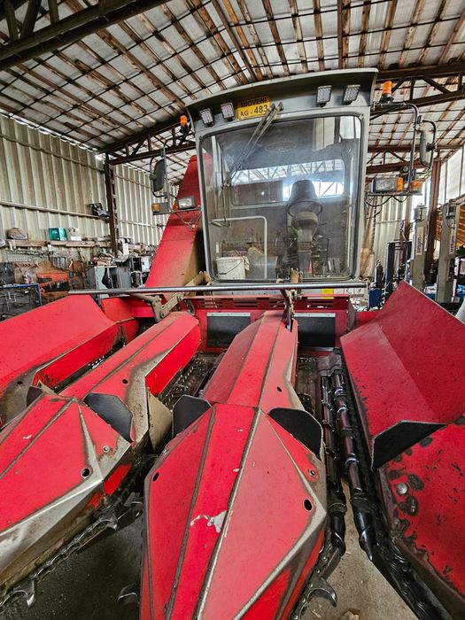 Vand culegatoare / combina de porumb QLN 4YZ-3A
3 randuri
An fabricati