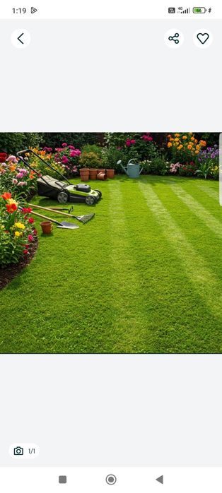 Tund gazon/curatenie curte