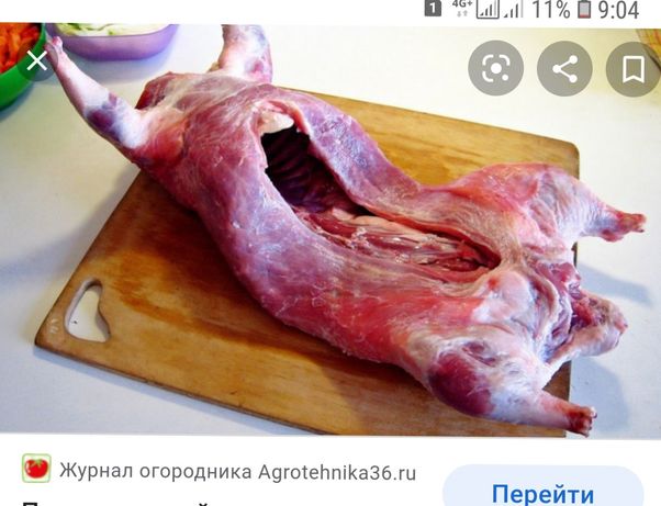 Мясо нутрии цена 2800 за кг