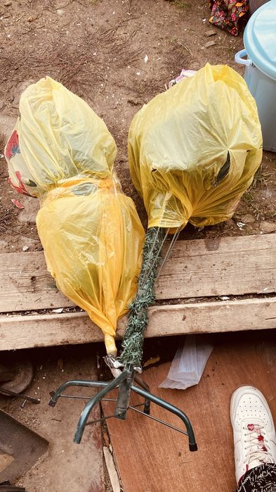 продам елку размер 1.2