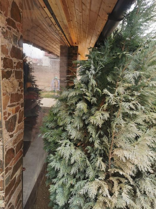 Folie/ rulouri terase si foisoare, folii terasa transparenta Tratat UV