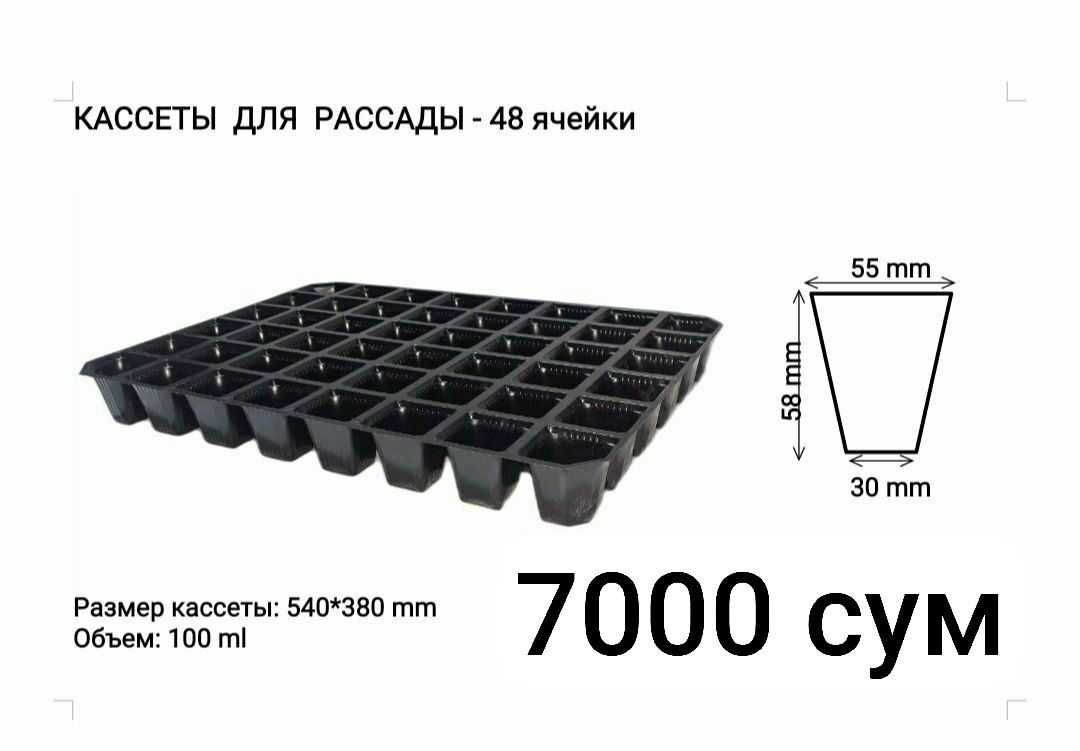 Корейский Кулупнай кўчатлари, Рассада Корейской клубники