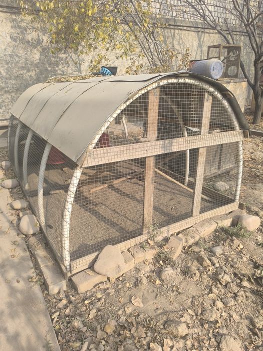 Товуқ хона сотилади фасад 2×4, баландлиги 1.5 метр