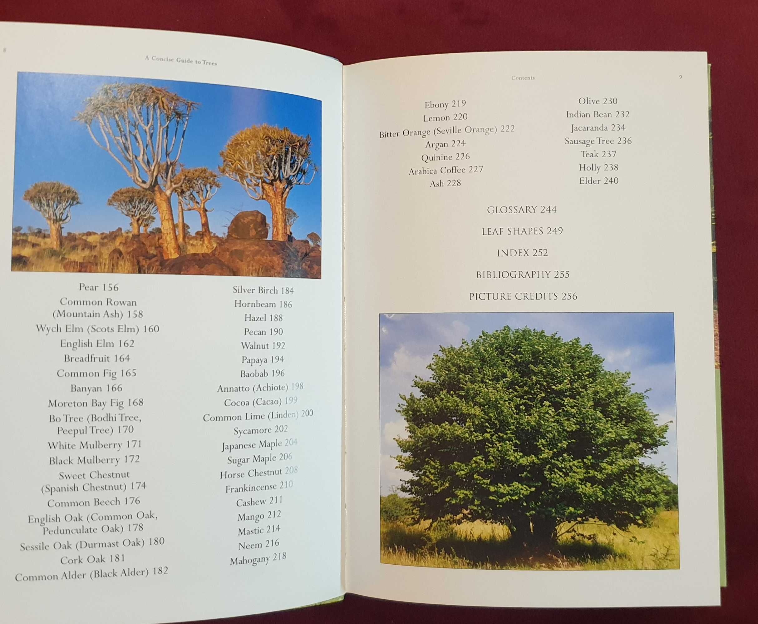 Справочник на дърветата по света / A Concise Guide to Trees