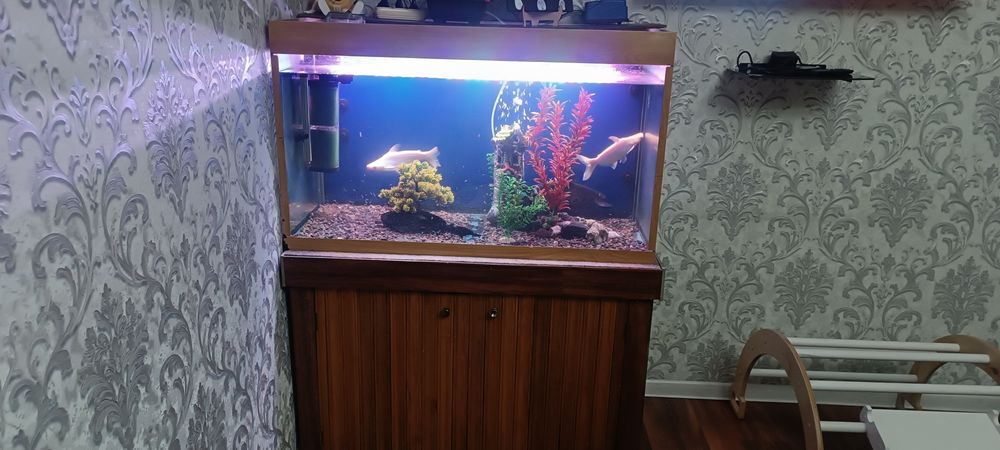 Баликлари сотилади