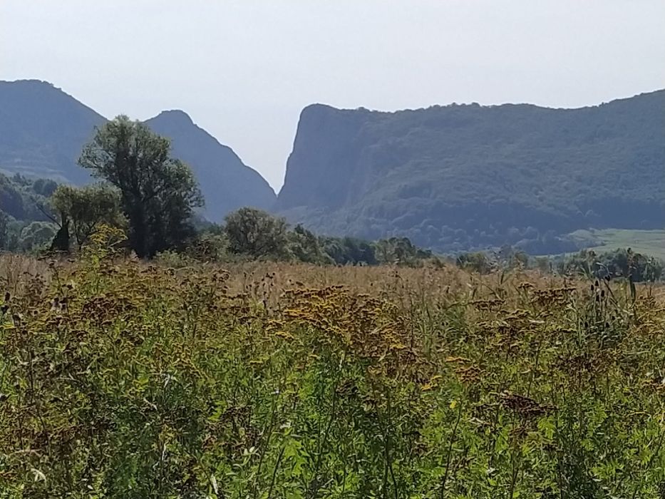 Teren Coltesti 25600 mp