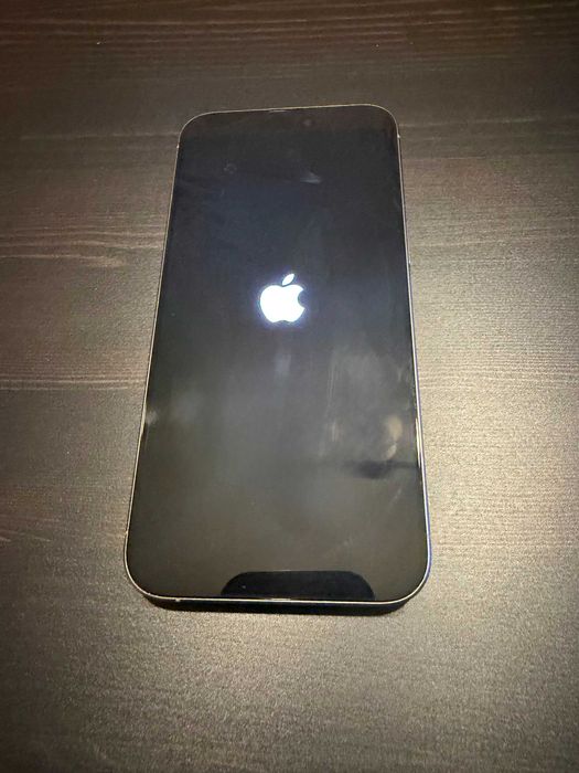 iPhone 15 Pro Max + Pitaka case