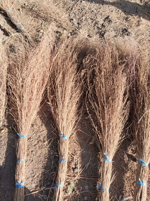 Hovli shuprgi 80 ta bor 25 ming som optom oladganla kesin 80 ta bor