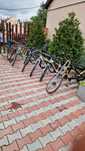 Biciclete de Bărbați/Femei/Copii