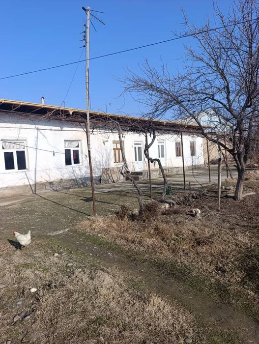 Жума шахрида 10 сотихли ховли сотилади