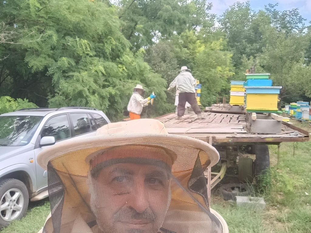 Пчелен мед София