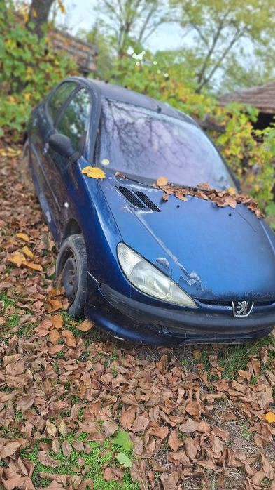Peugeot 206 An 2001