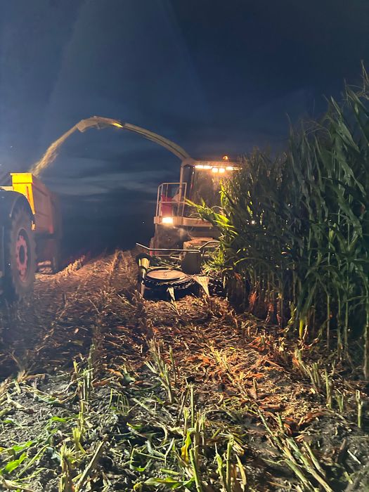 Combină claas Jaguar 860 cu 3 mese