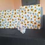 Adoptii pisicii, Donez pisici  vârstă  2 luni și jumătate.