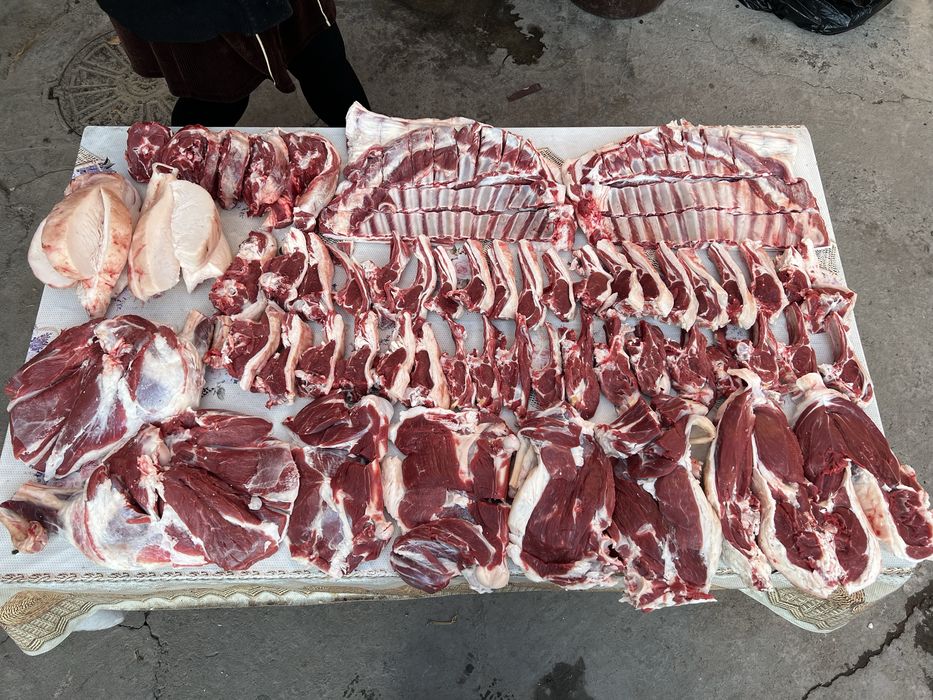 Halol qo’zi qo’chqorlar, qassob, kalla pocha