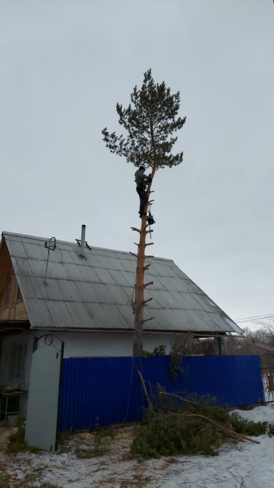 Спил деревьев любой сложности