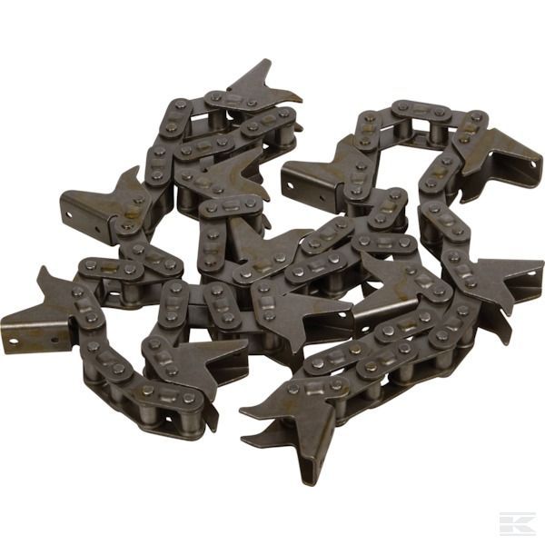 pinioane olimac drago