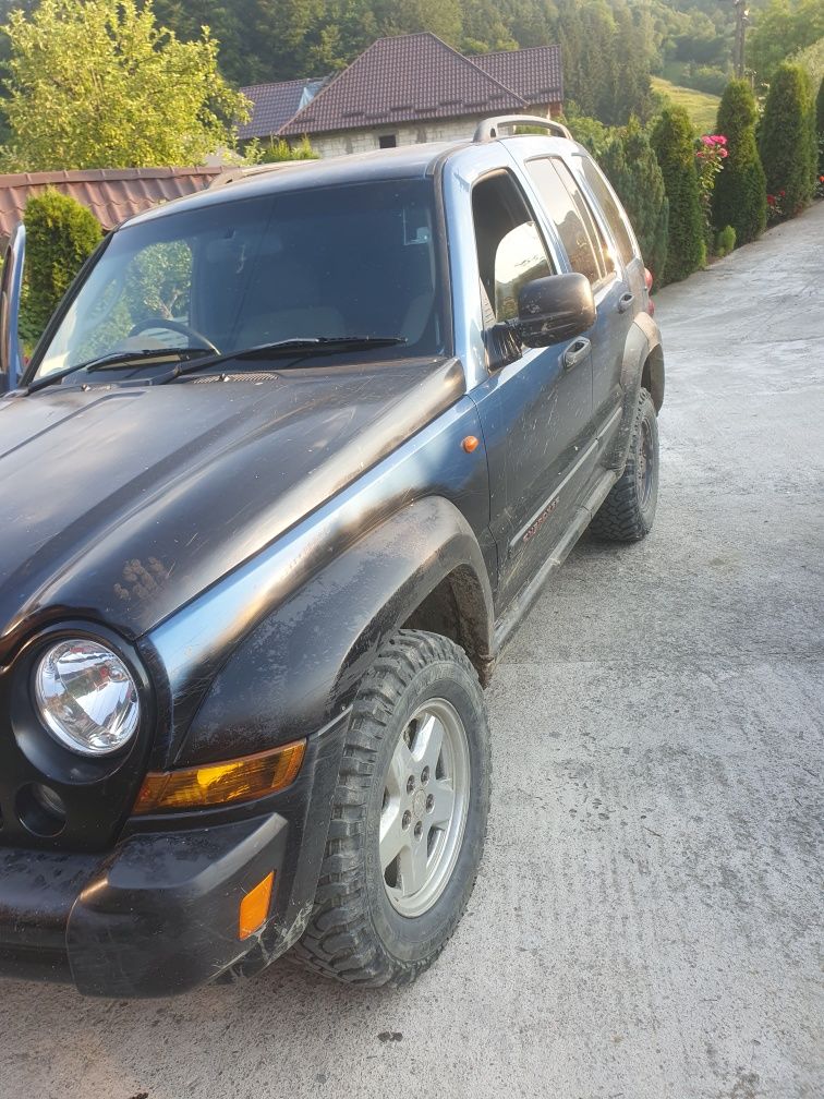 Vand jeep cheroche  28