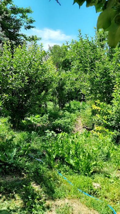 Уй сотилади ер нархида