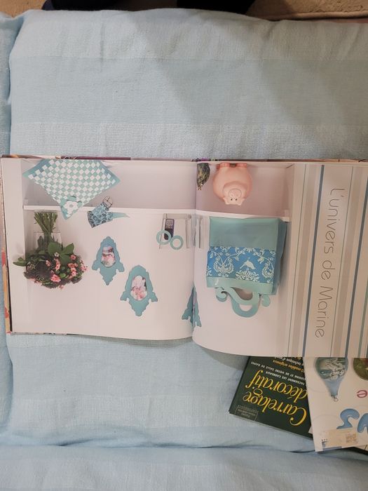 Vând carte DIY Totul din vinil