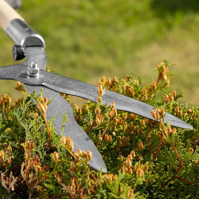 Кусторез, 650 мм, волнистые лезвия, деревянные рукоятки ( Россия )